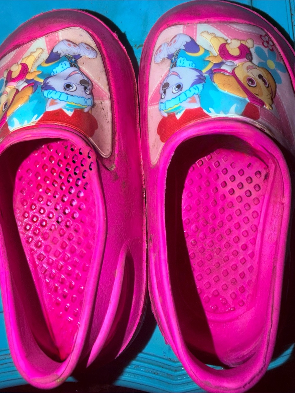 Paw Patrol Bright Pink Slip-On Cartoon Clog Sandals